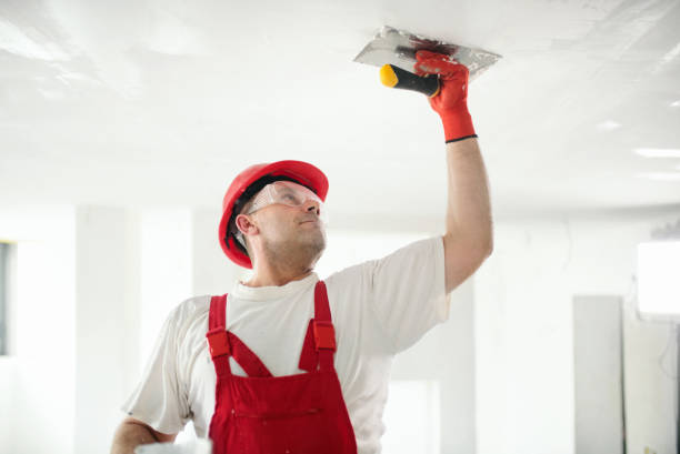 Best Commercial Painting  in Waverly, IA