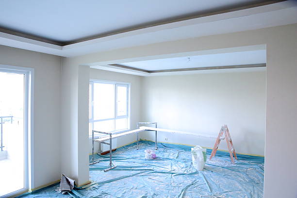 Best Custom Drywall Designs  in Waverly, IA